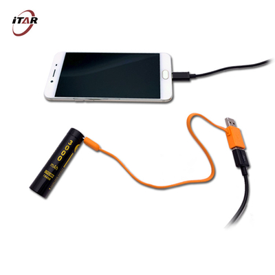 Fast Charging Li Ion Rechargeable Batteries 2900mAh With USB Type C Port OEM
