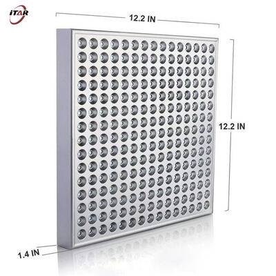 Red Light Infrared Light Therapy 2KG for Improved Pain Management